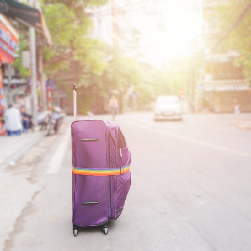 Nylon Add a bag Belt Suitcase Luggage Strap Adjustable for