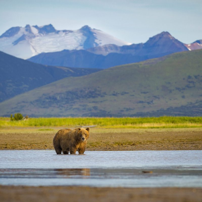 Avoid The Crowds By Visiting These 5 Underrated National Parks ...