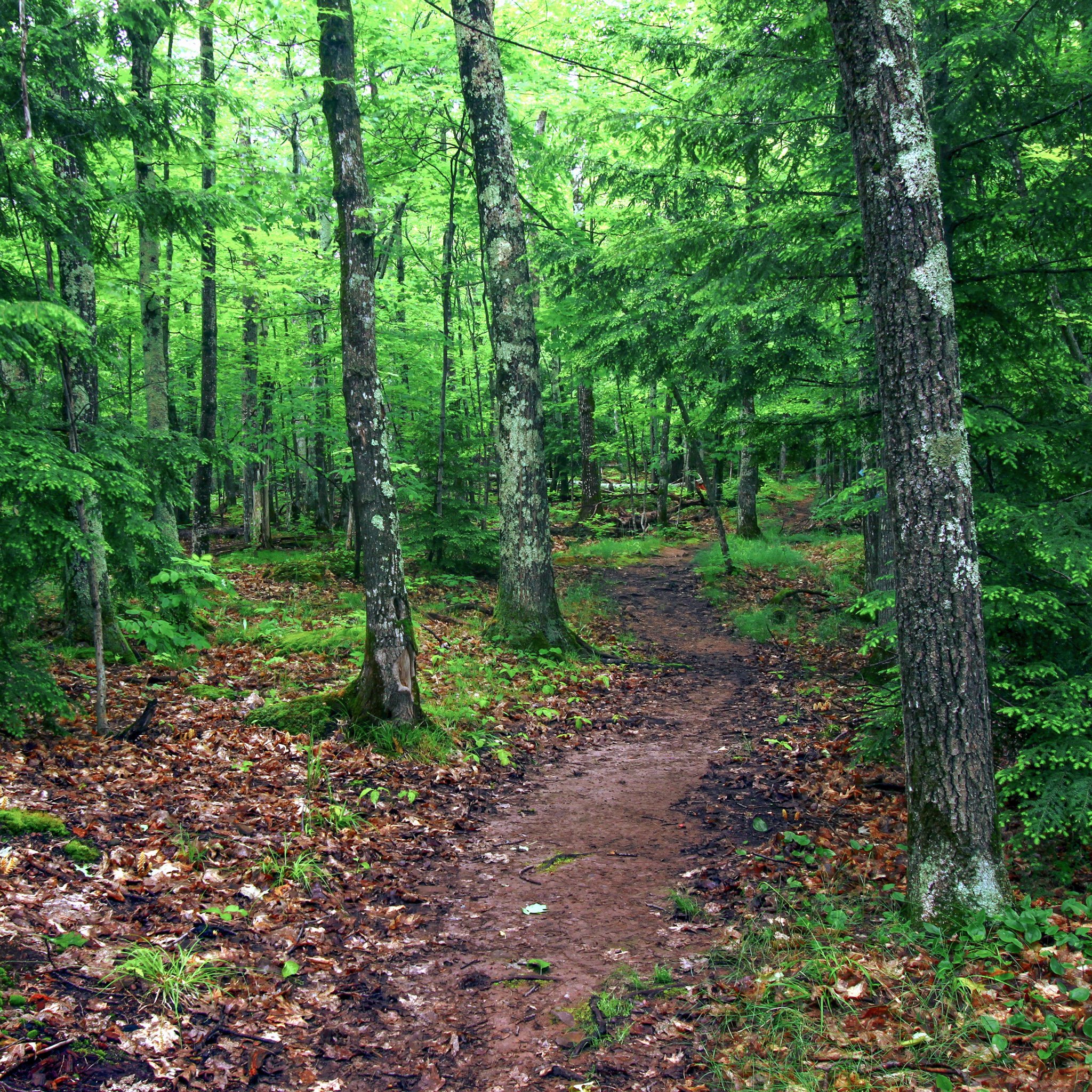 9 Best Hikes In Beautiful Michigan