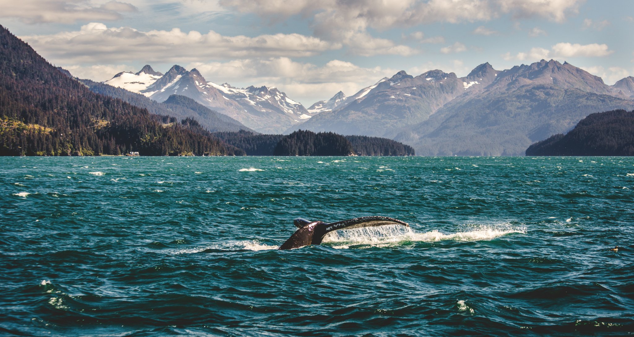 How To Spend A Perfect Weekend In Gorgeous Homer, Alaska
