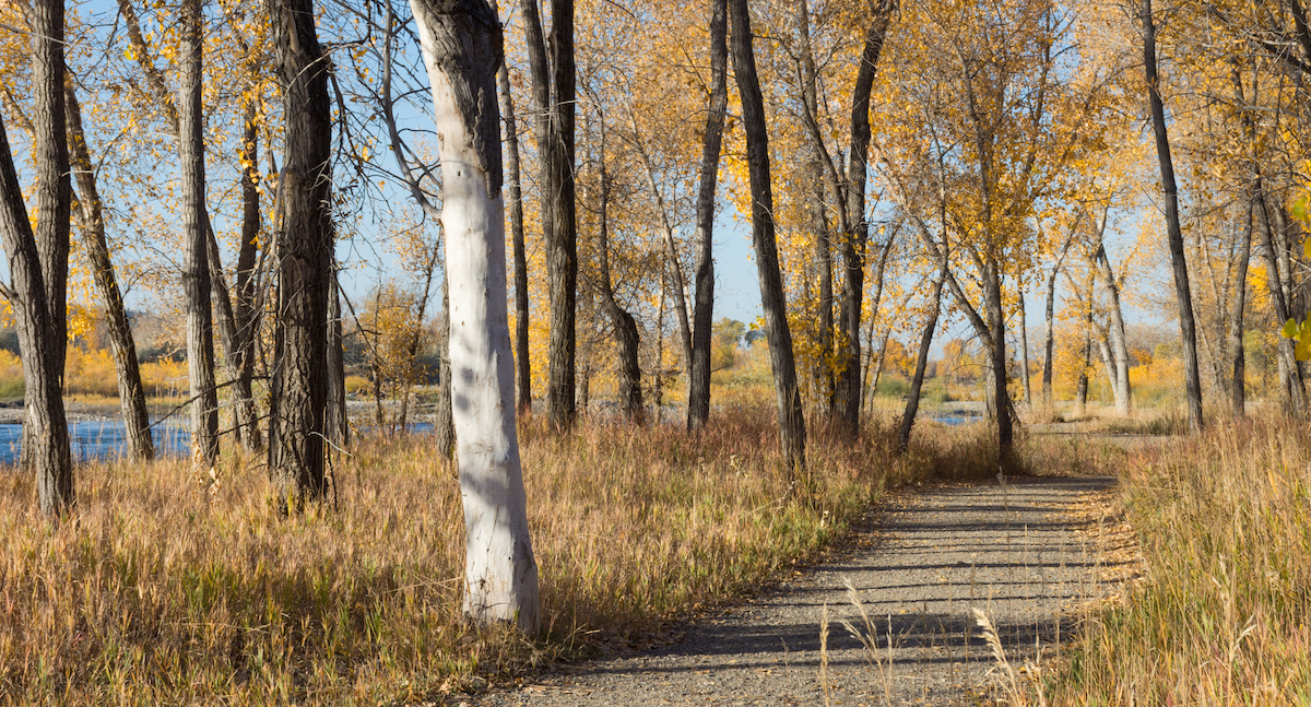 9 Best Walking, Hiking, And Biking Trails In Billings