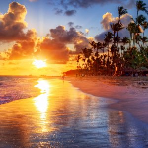 Hawaii vs Caribbean: 9 Key Differences To Know Before You Visit ...