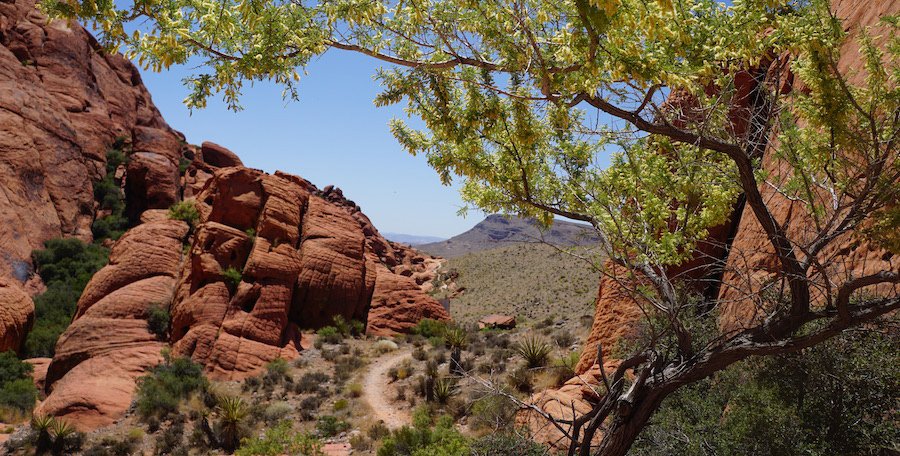 レッドロックキャニオンでやるべき9つの最善のこと