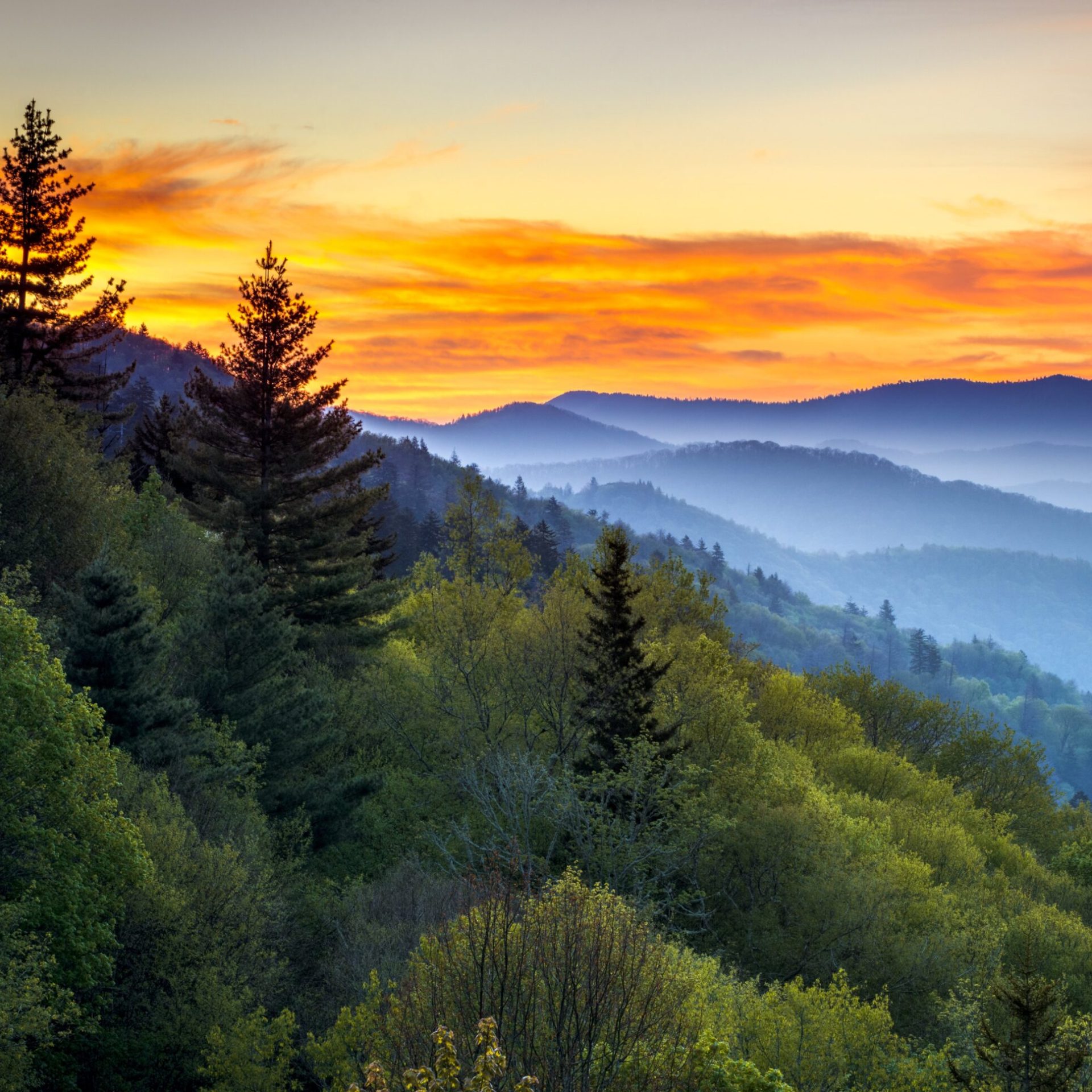 8 Beautiful Smoky Mountain Hiking Trails | TravelAwaits