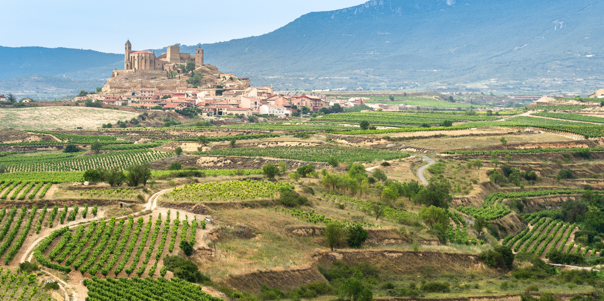 ワイン愛好家によると、7つの最高の国際的なワイン地域