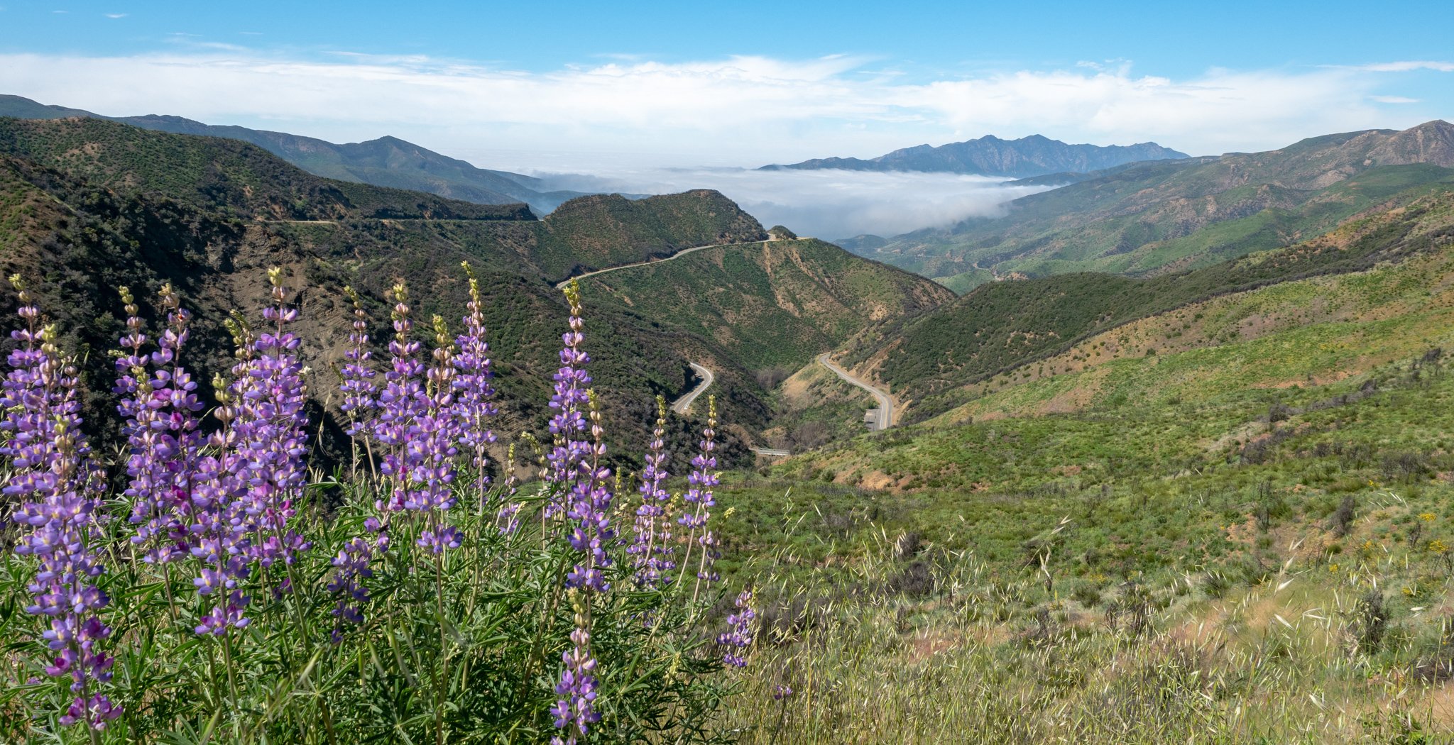 How To Spend A Perfect Weekend In Quaint Ojai, California