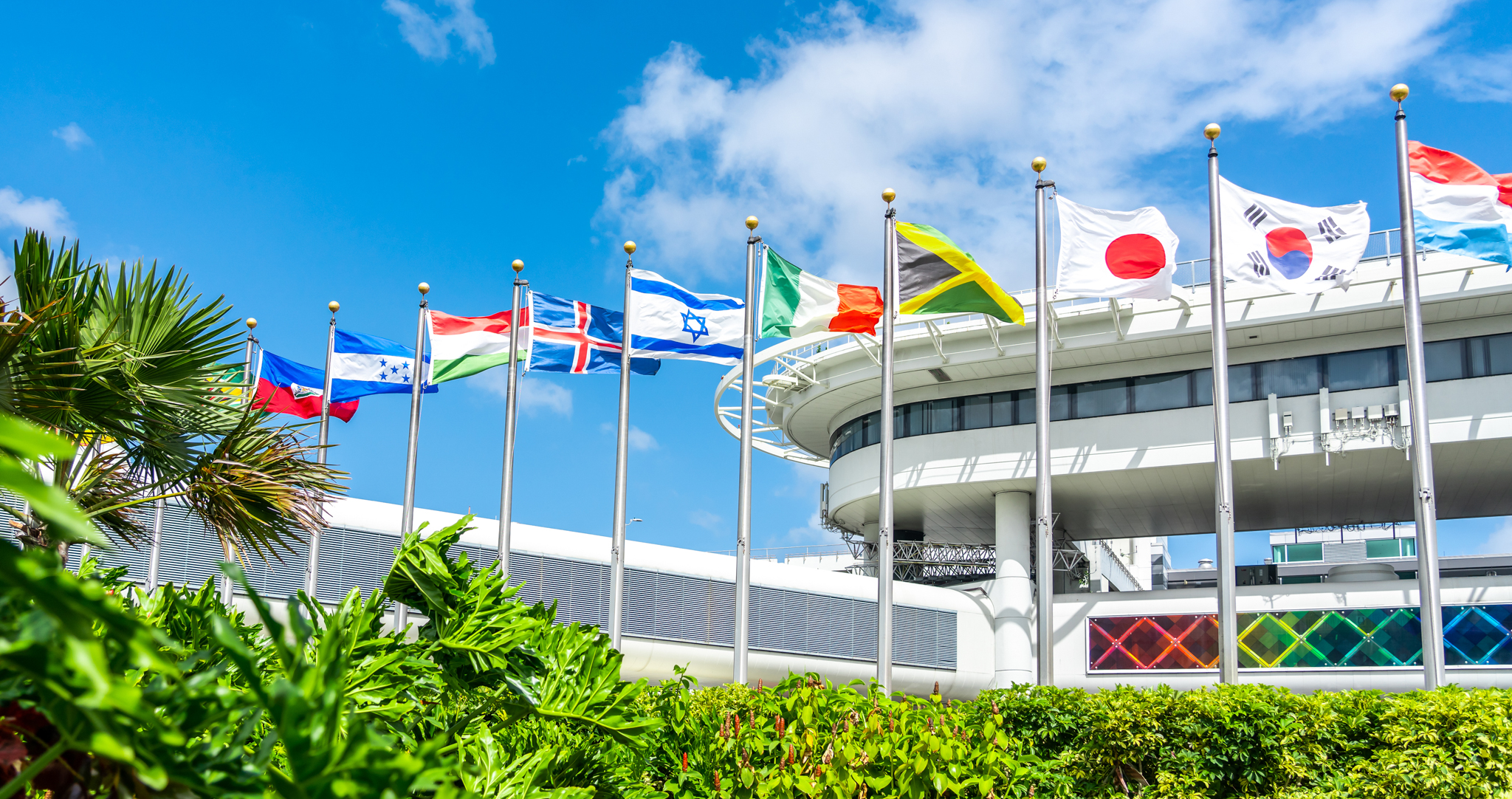 国際旅行に必要な1つの新しいアイテム