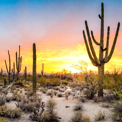 5 Great National Parks Near Phoenix To Visit In The Winter | TravelAwaits