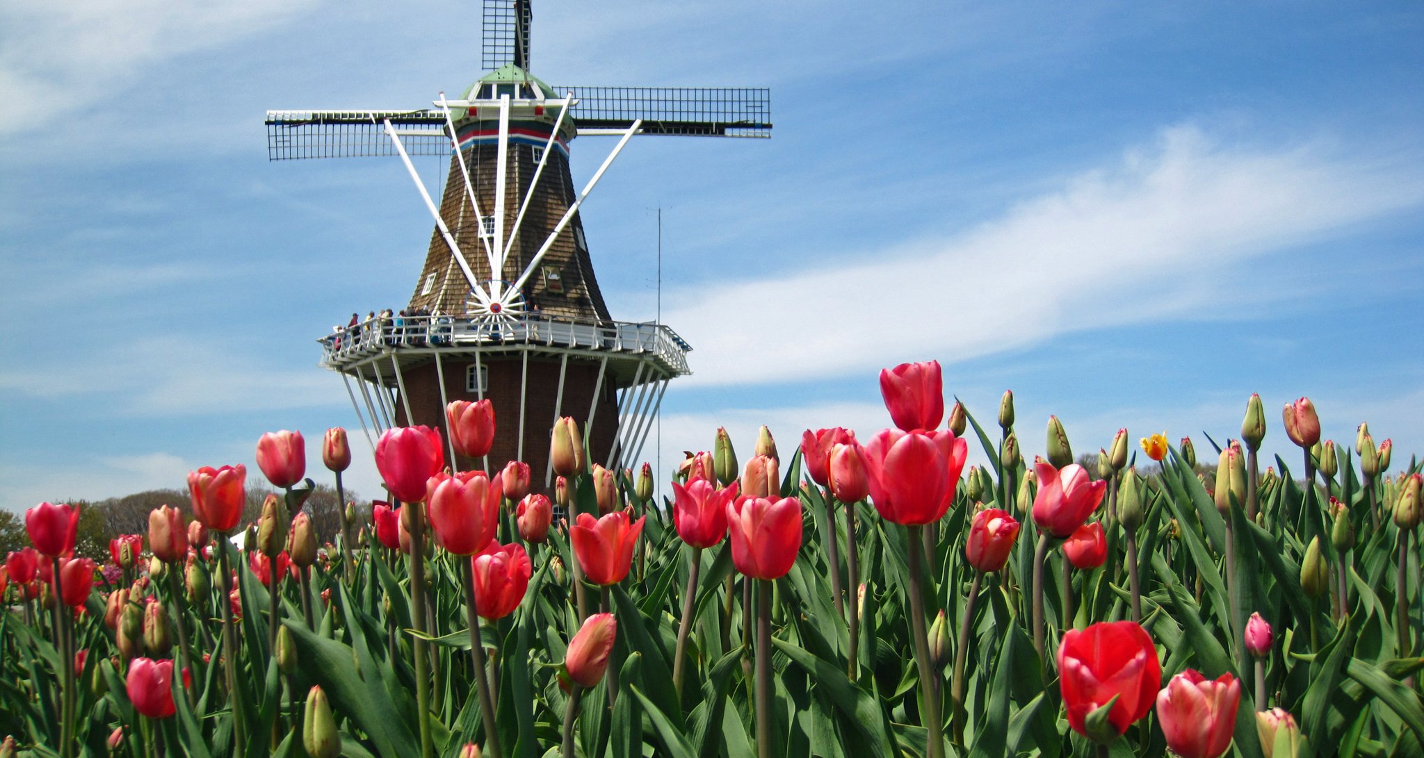 How To Spend A Beautiful Weekend In Charming Holland, Michigan