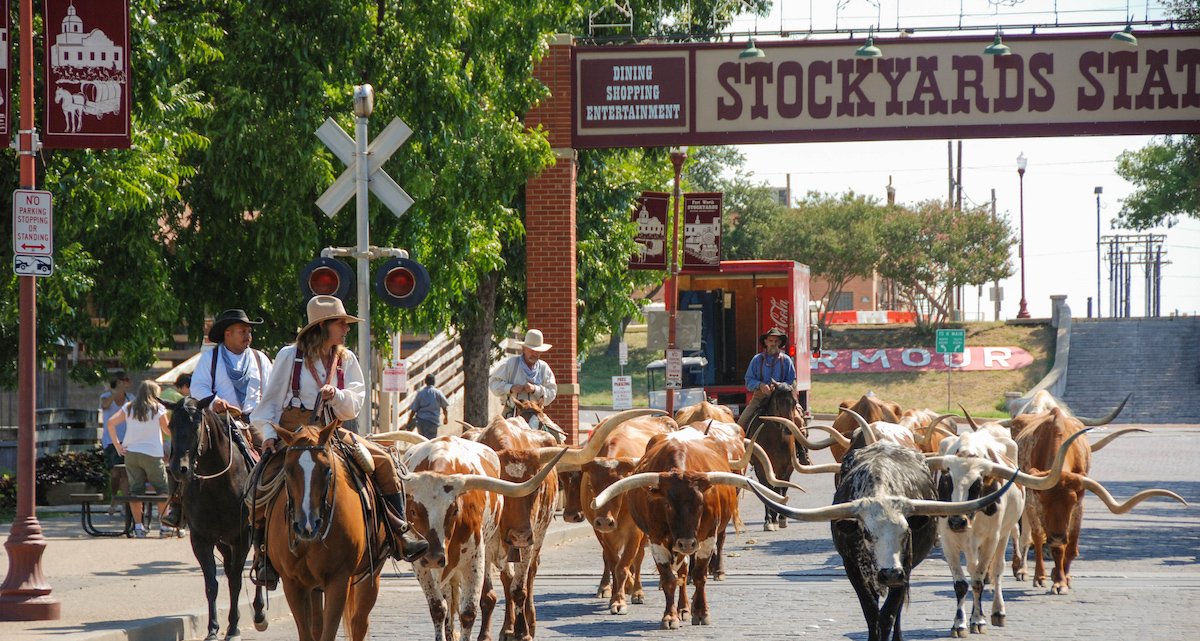 What to Do at Fort Worth Stockyards: 10 Fun Things You'll Enjoy ...