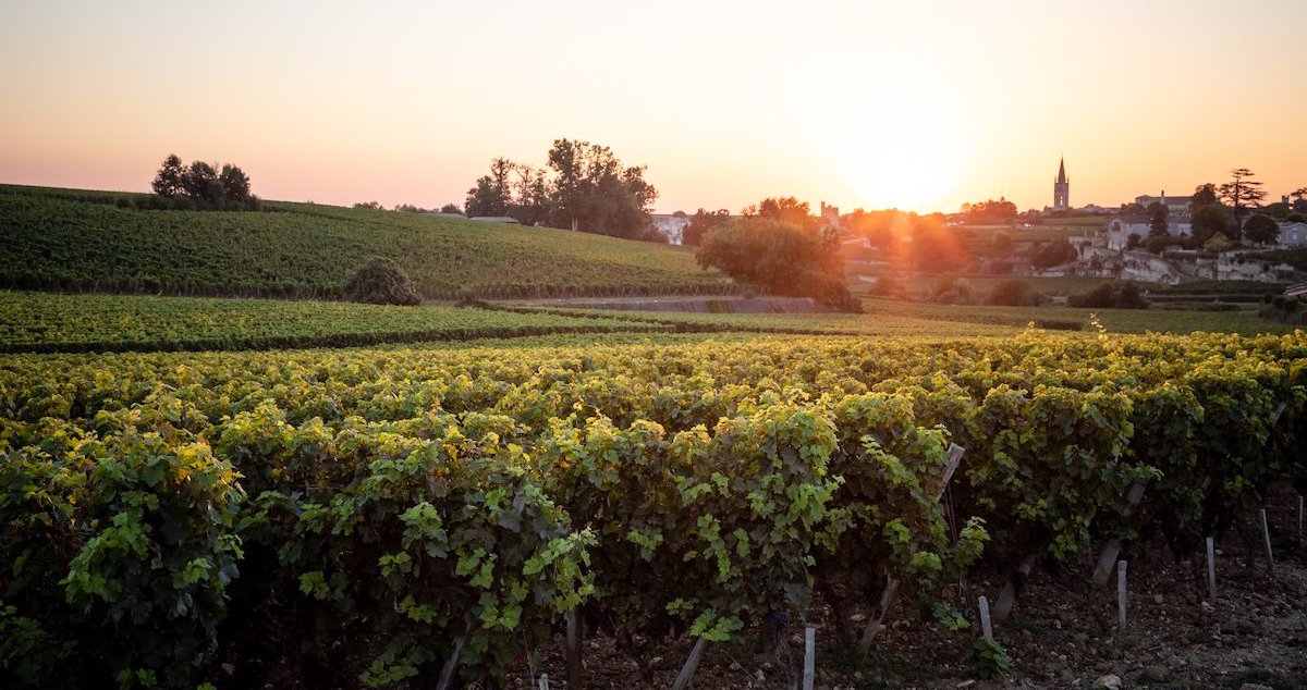 Champagne bottles in a cellar in Reims