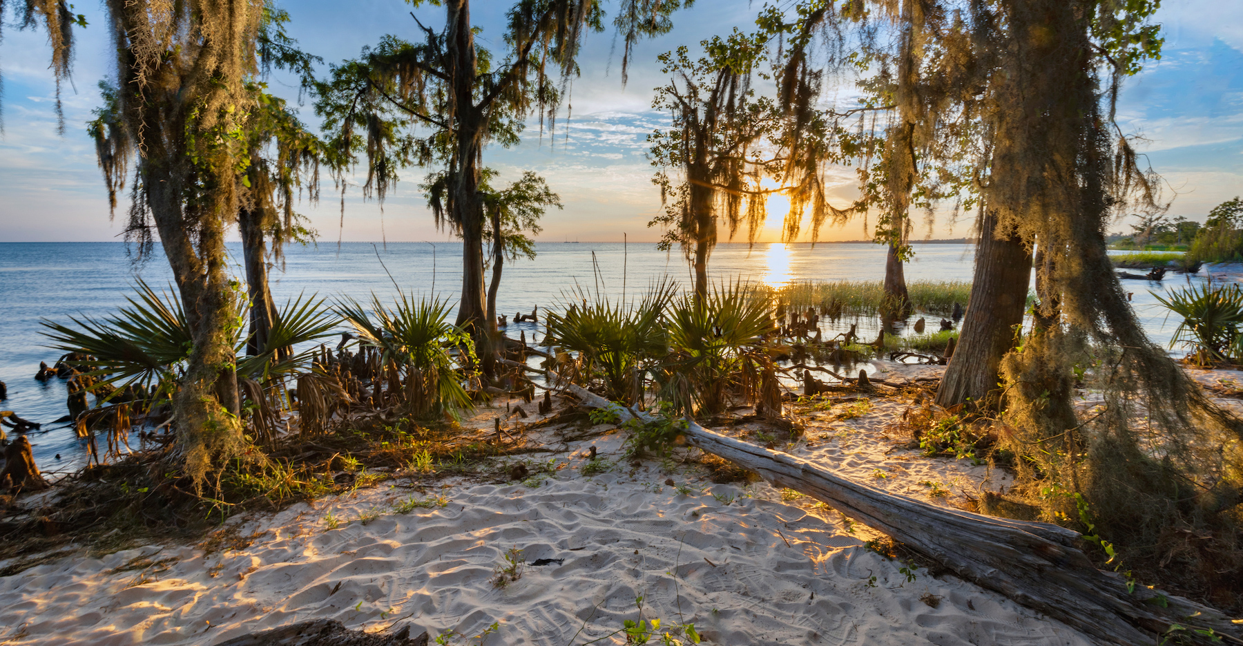 ルイジアナ州で10回の美しいハイキング