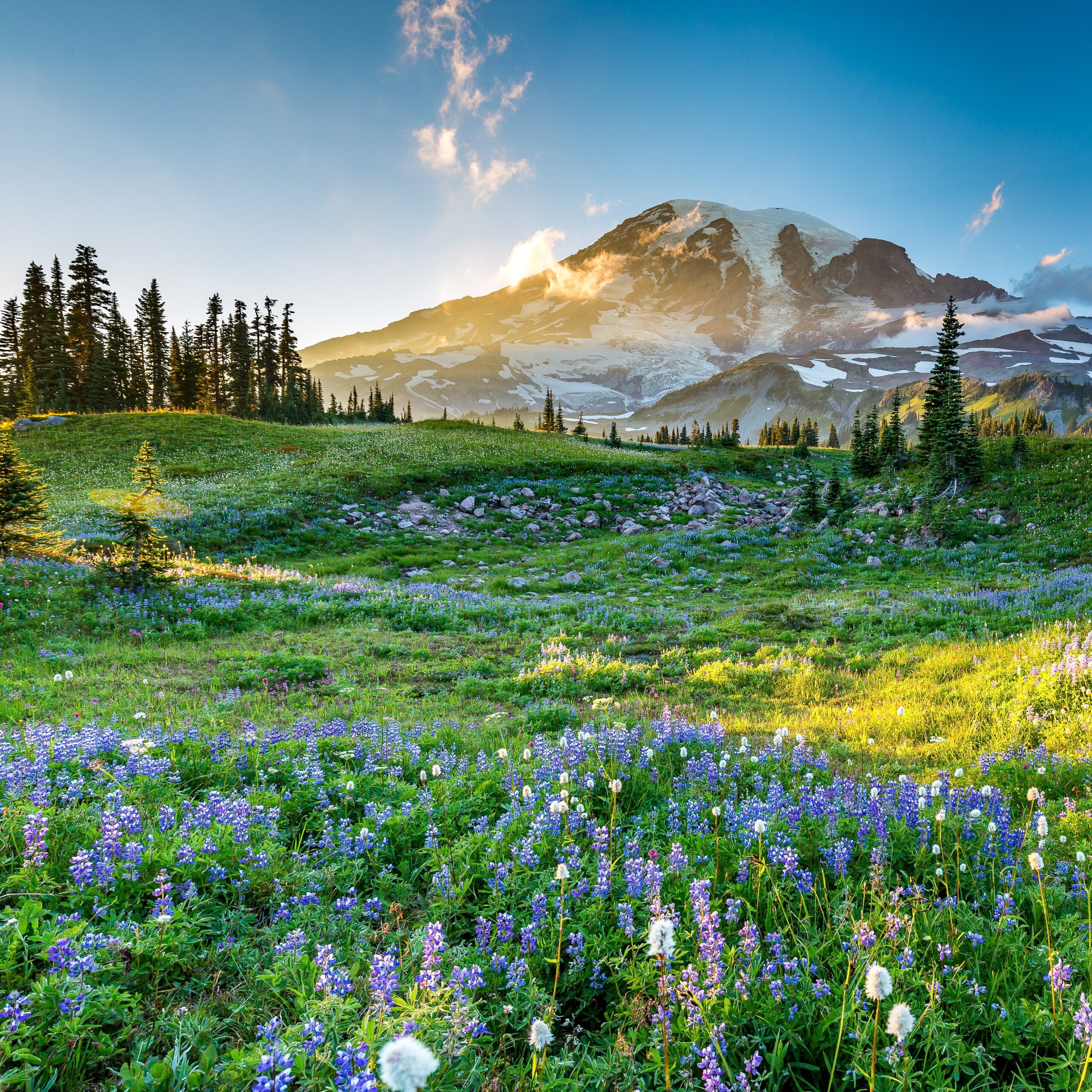 8 Amazing Day Trips From Seattle