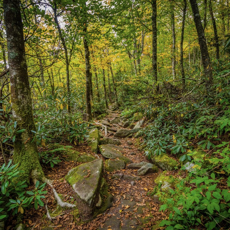 10 Best Hikes In Stunning North Carolina