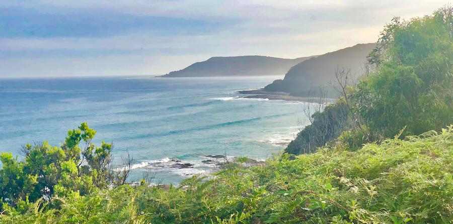 今オーストラリアに旅行する地元の人々にとってはどうですか