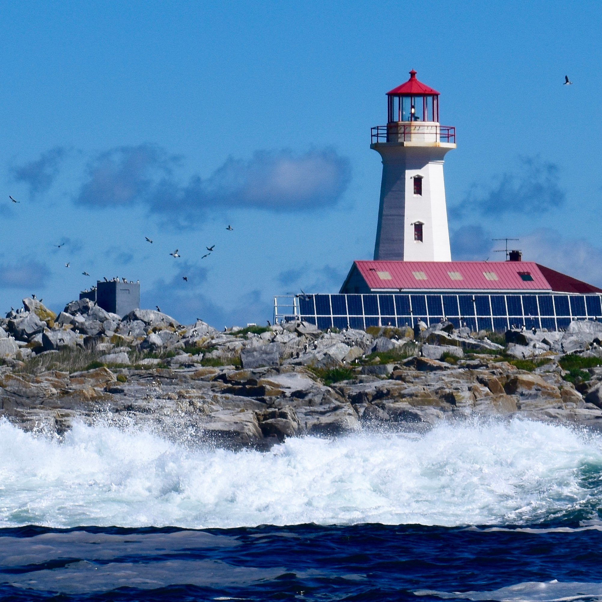 Why Machias Is Maine S Best Kept Secret TravelAwaits   A Lighthouse On Machias Sealeafc3e 