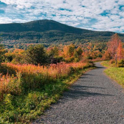 Things To Know Before Visiting Mount Greylock