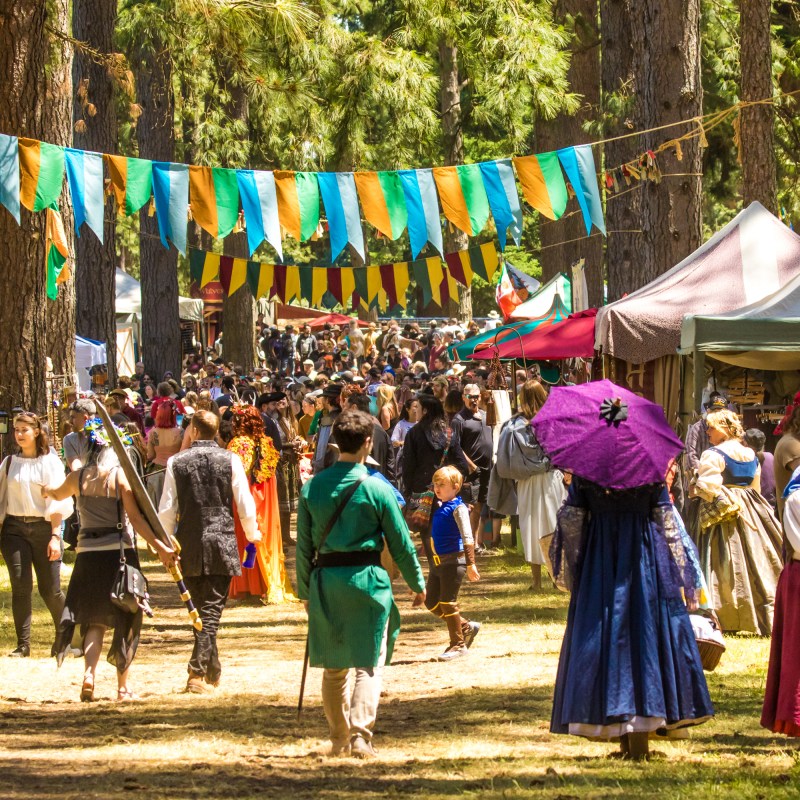 14 Best Renaissance Fairs In the US PostMedieval Experience