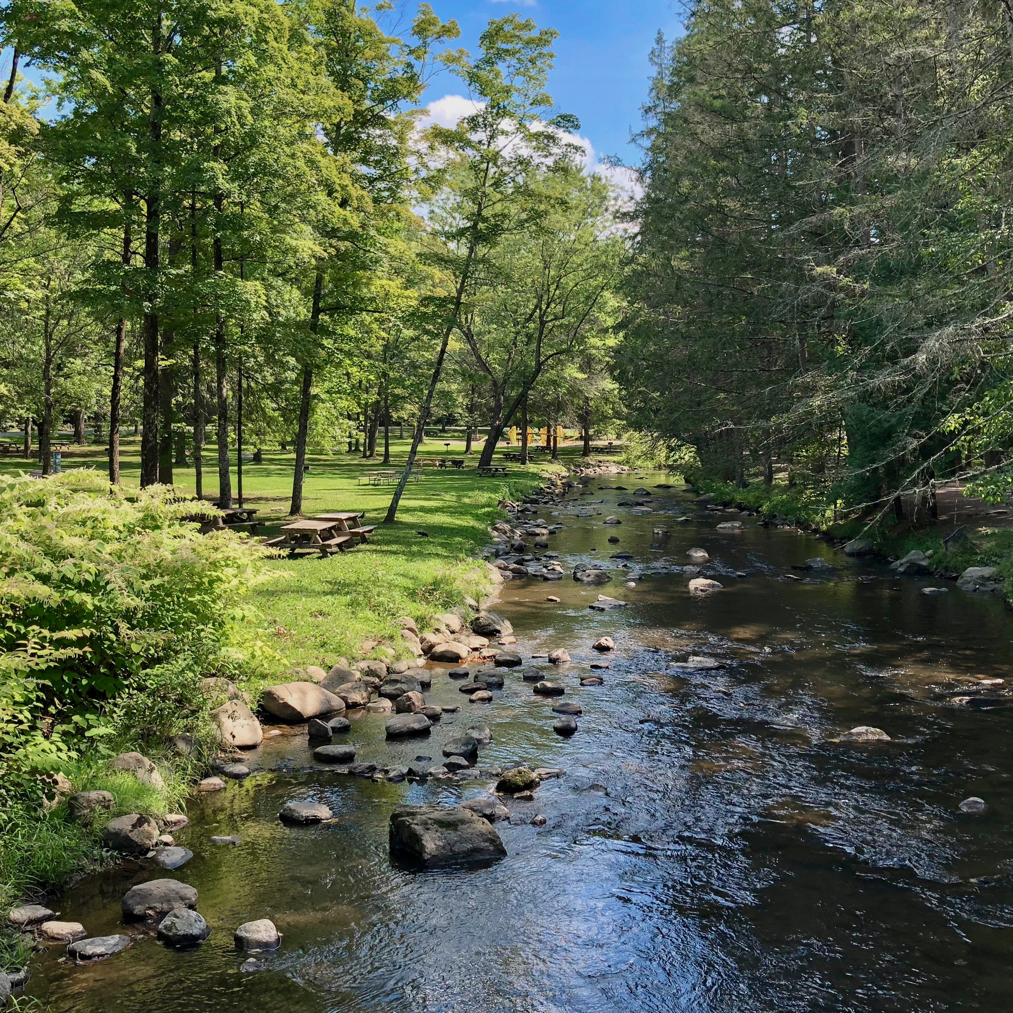 Best Things To See And Do In Saratoga Springs   A Stream And Picnic Area In Sec463a 