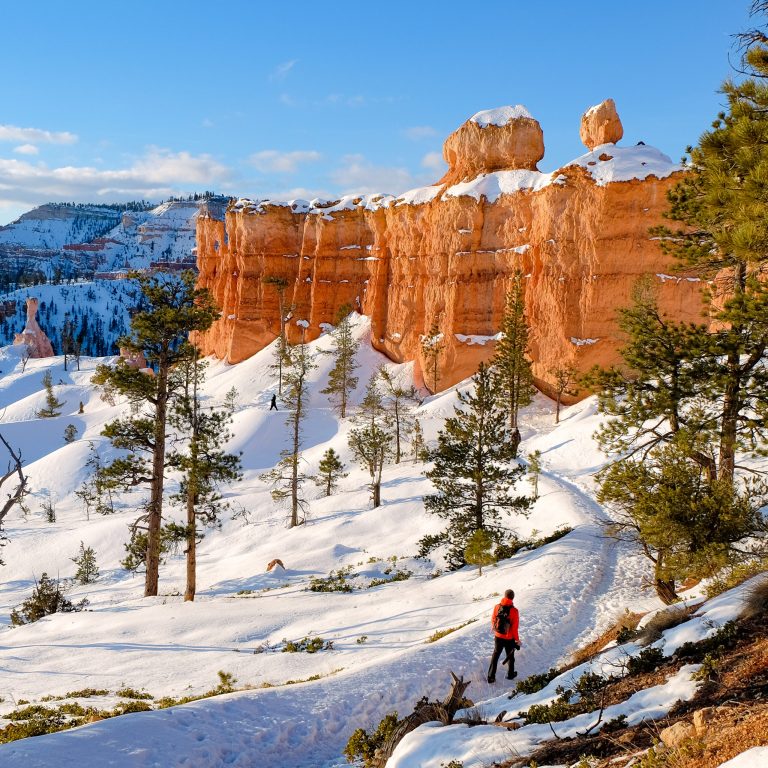 5 National Parks You Must Visit During Winter | TravelAwaits