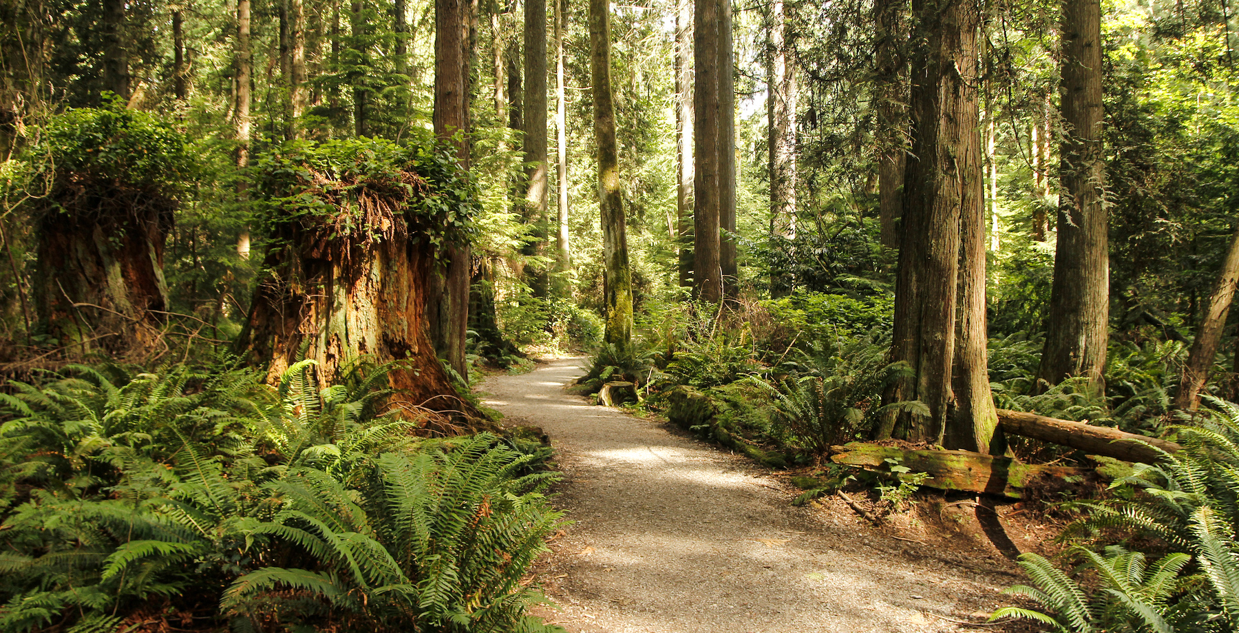 The 5 Best Parks To Experience In Vancouver, BC | TravelAwaits