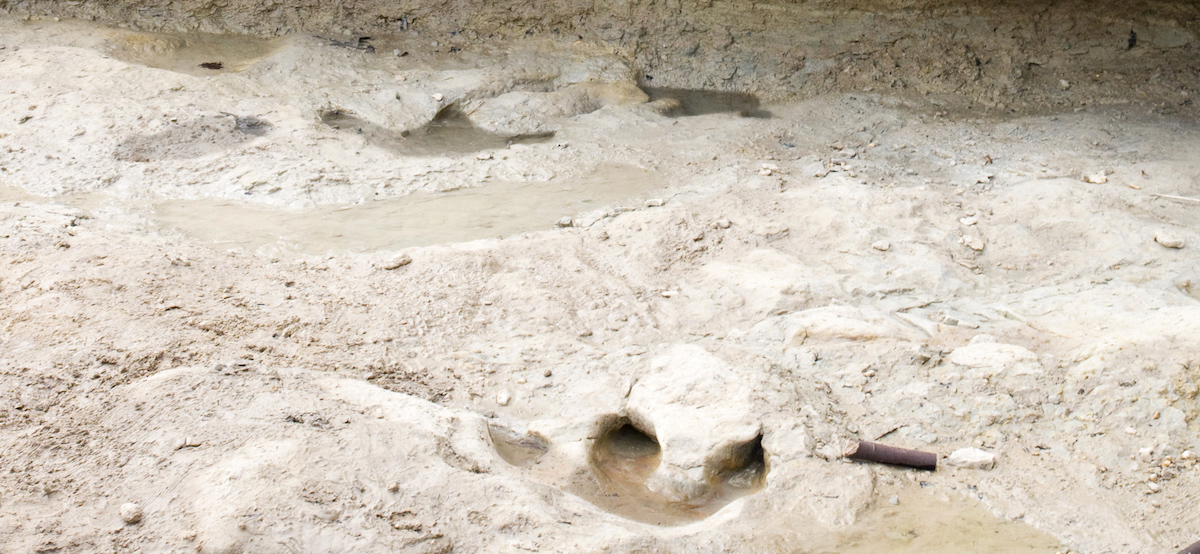 恐竜バレー州立公園での10の素晴らしい経験