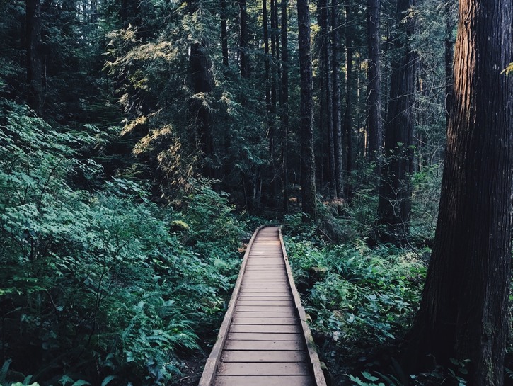 バイキング遺跡と魅惑の森：13予期しないカナダの冒険