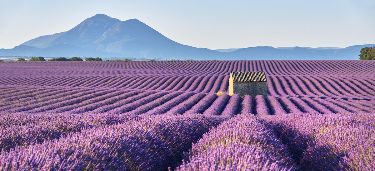 13-incredible-things-to-do-in-provence-france-our-full-guide