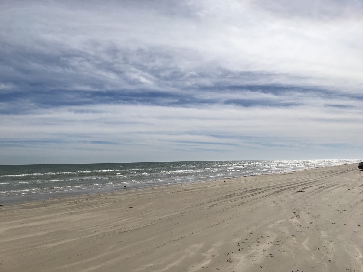 4 Best Things To Do On Padre Island National Seashore