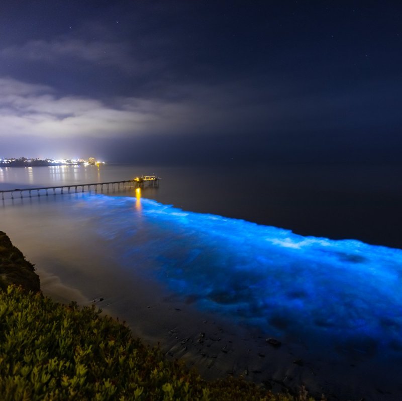 Bioluminescent Waters Glowing Along The Southern California Coast