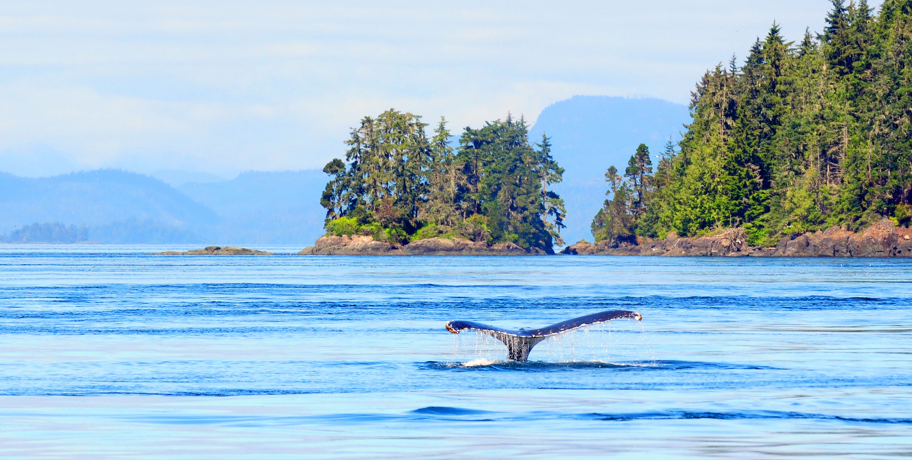 バンクーバー島で完璧な週末を過ごす方法