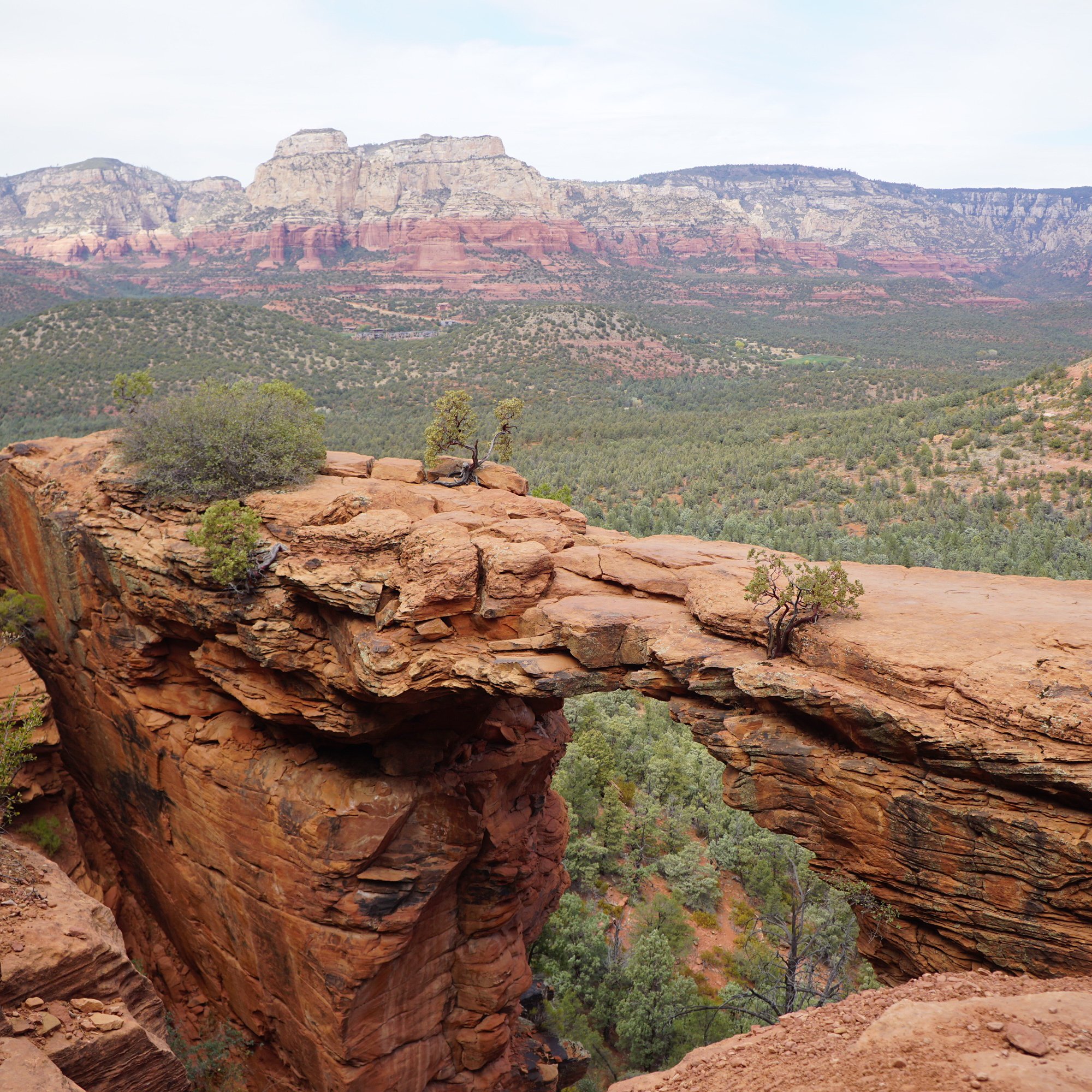 The Walks  Devils Bridge Falls