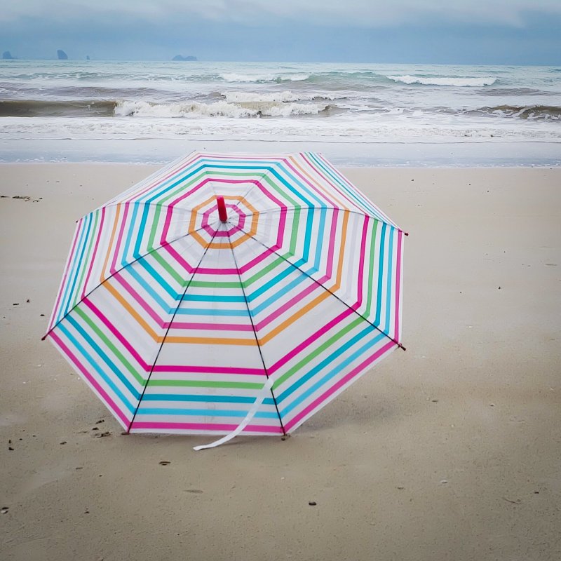 10 Things To Do In Gulf Shores, Alabama On A Rainy Day | TravelAwaits