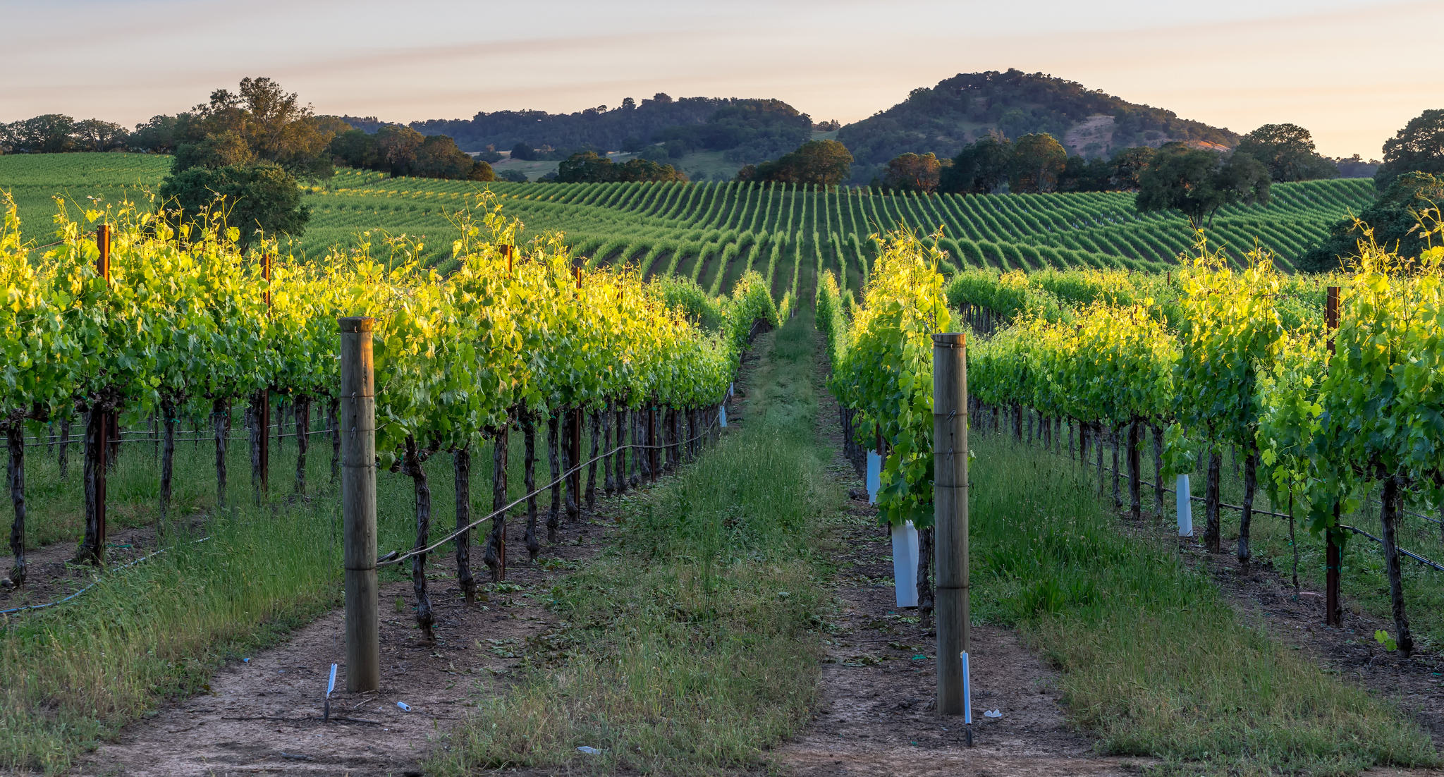 How To Spend A Perfect Long Weekend In Beautiful Healdsburg, CA