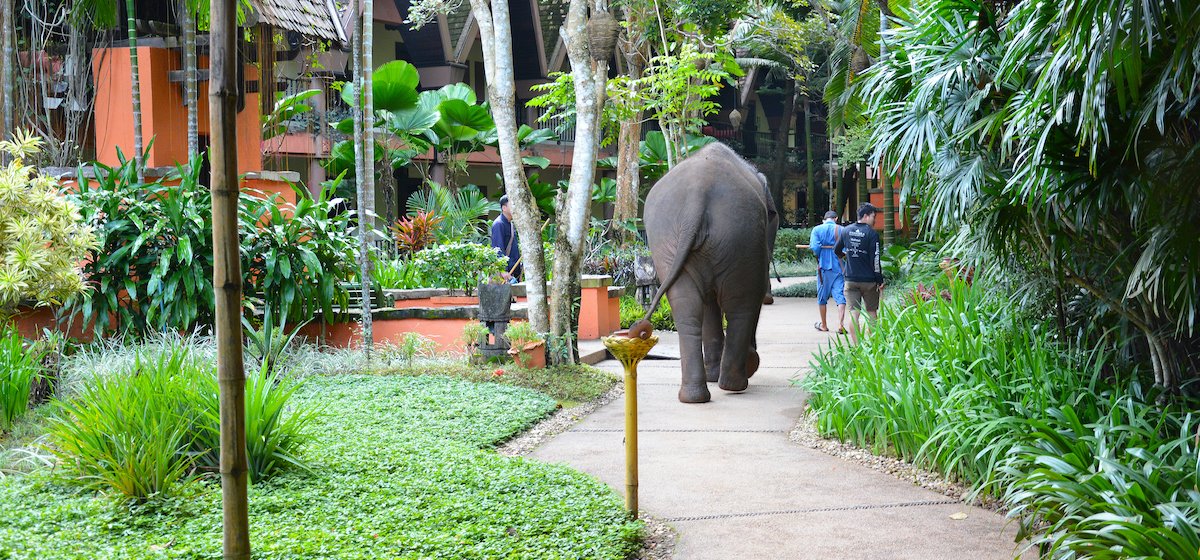 クローズアップ動物の出会いのための世界最高のホテル