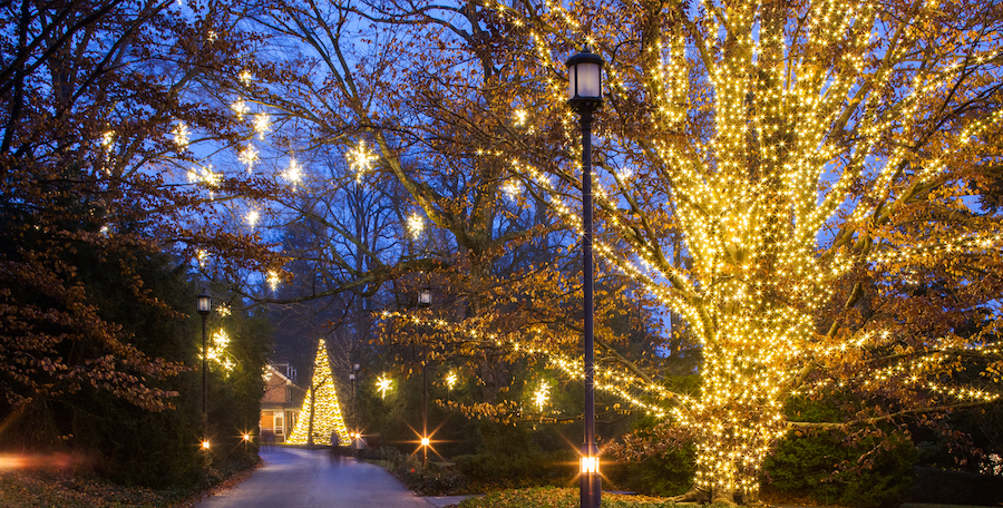 クリスマス中にロングウッドガーデンの魔法を体験する方法