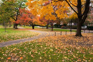 The Best Fall Foliage Road Trip In Massachusetts | TravelAwaits