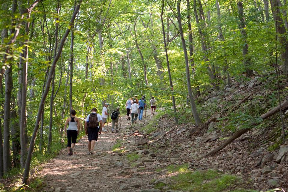 9 Best Hikes In Beautiful Alabama