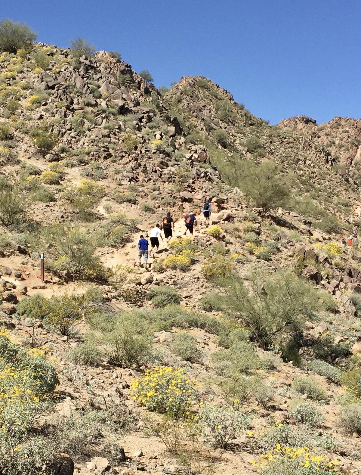 12 Tips For Successfully Hiking Camelback Mountain In Phoenix ...