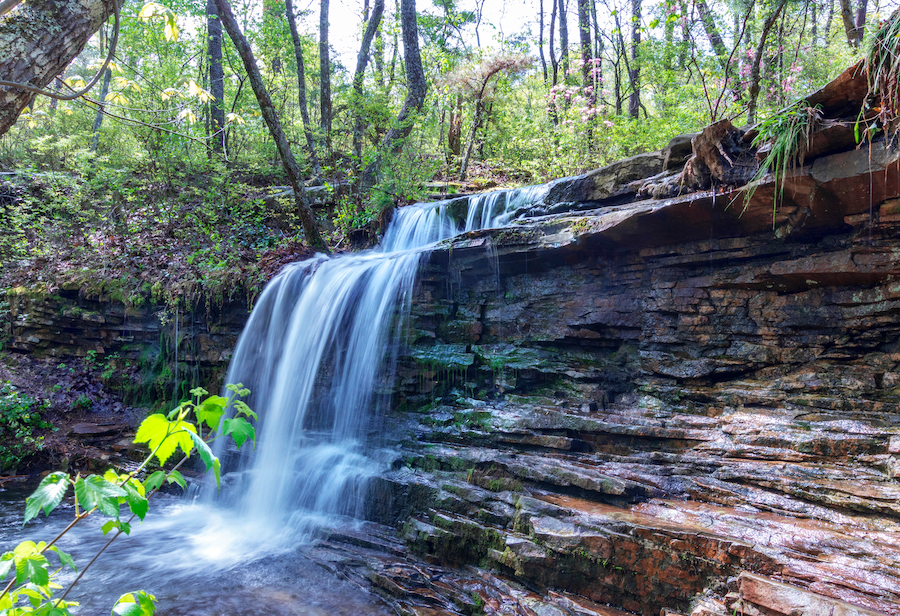 9 Best Hikes In Beautiful Alabama