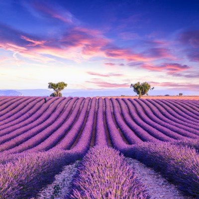 13 Incredible Things to Do in Provence, France | Our Full Guide ...