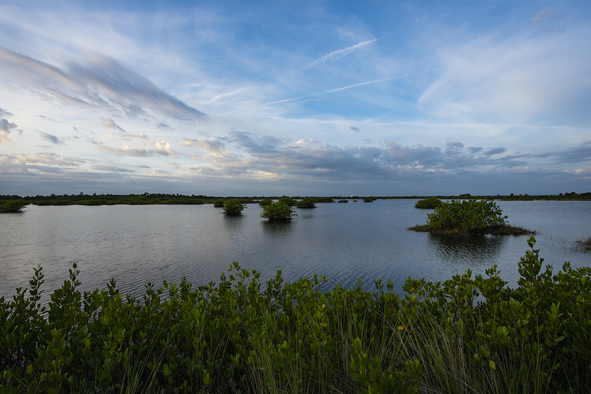 14 Amazing Things To Do On Florida’s Space Coast