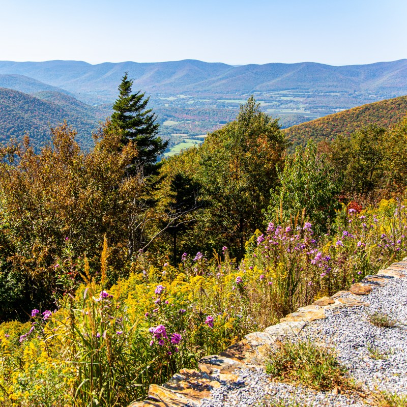 Fundamentals of Drawing - Visit the Berkshires of Western MA