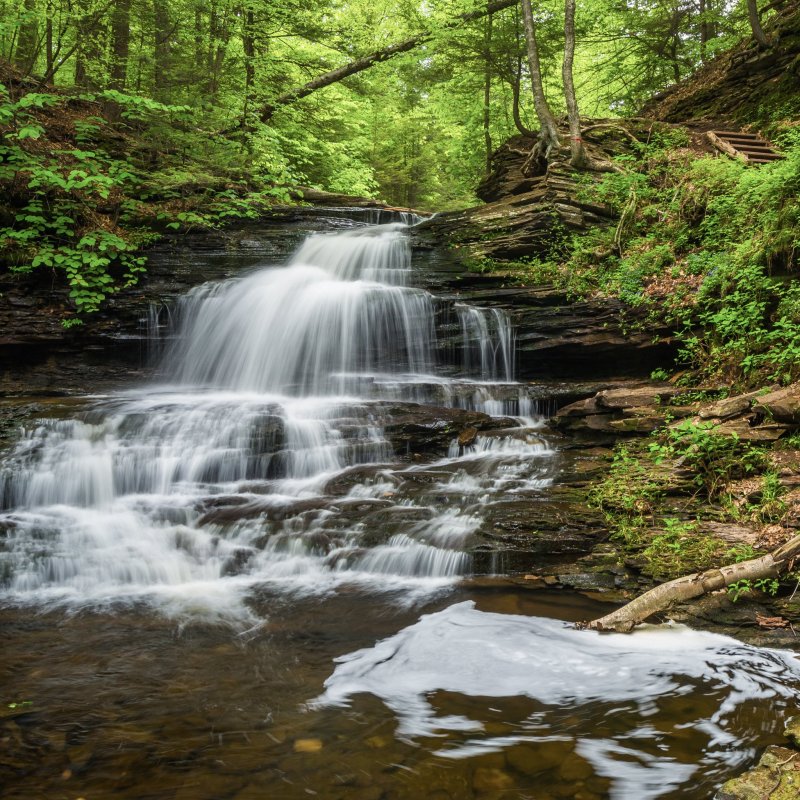 9 Best Hikes To Experience In Eastern Pennsylvania