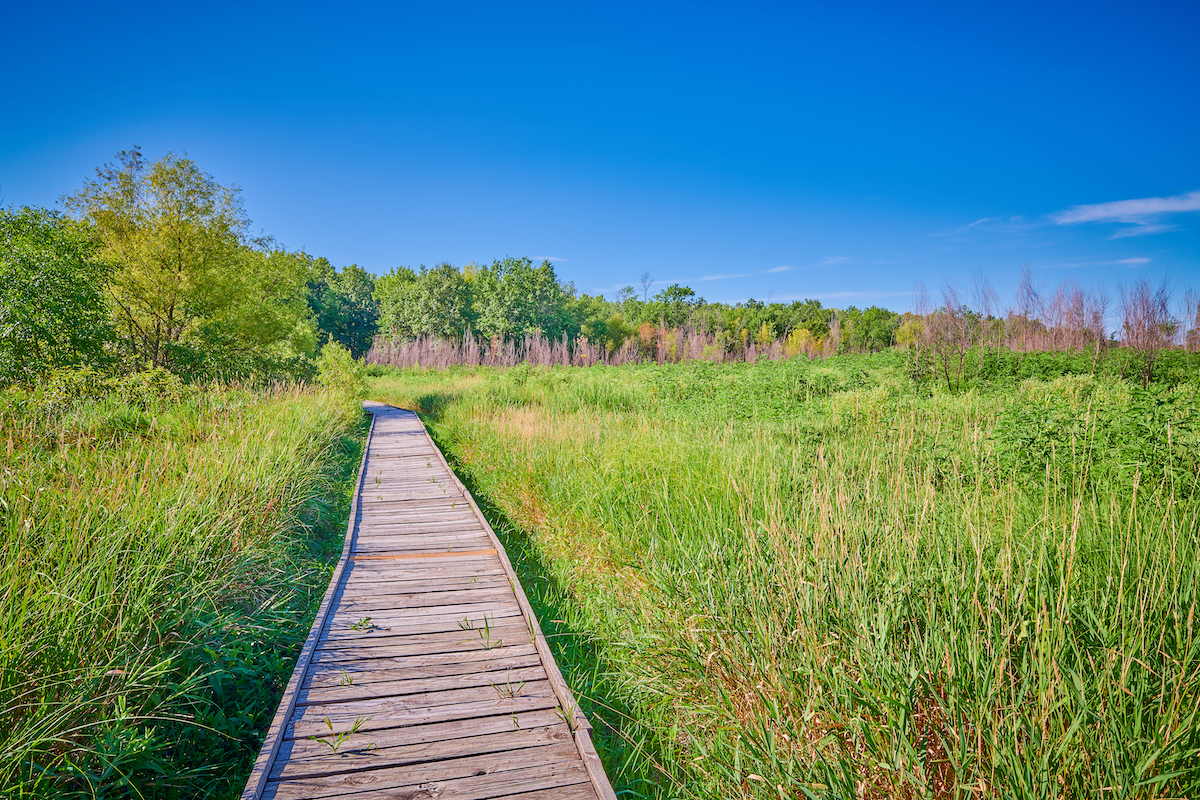 アメリカの天才高速道路に沿って探索する9つの興味深い場所