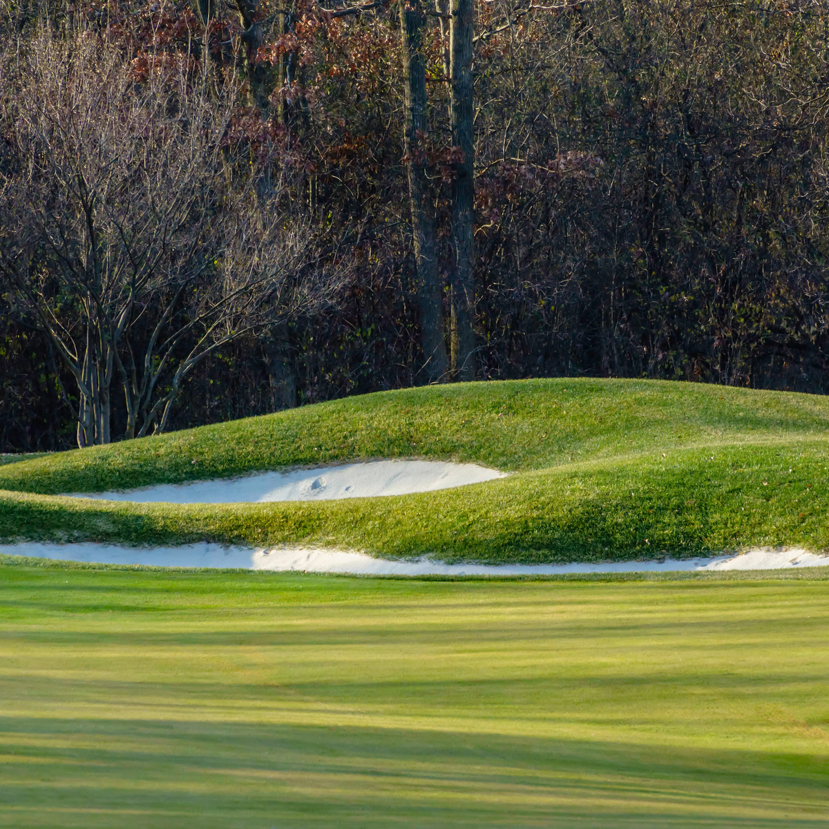 9 Best Public Golf Courses In Illinois | TravelAwaits