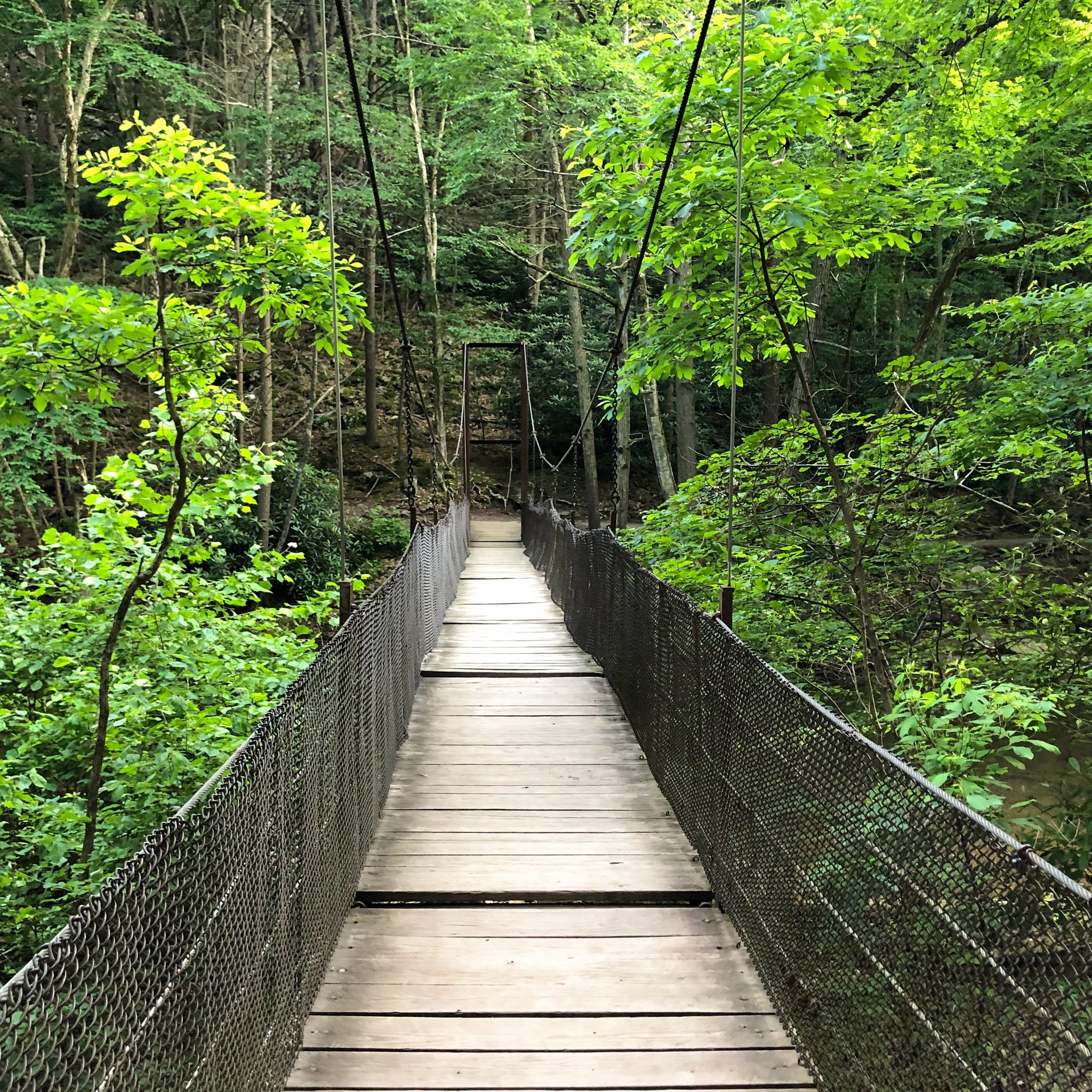 15 Top-Rated Hiking Trails in Pennsylvania