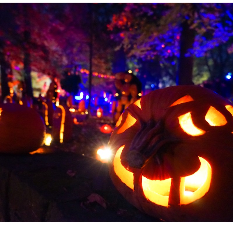 The Annual Great Jack OLantern Festival in Hudson, New York.