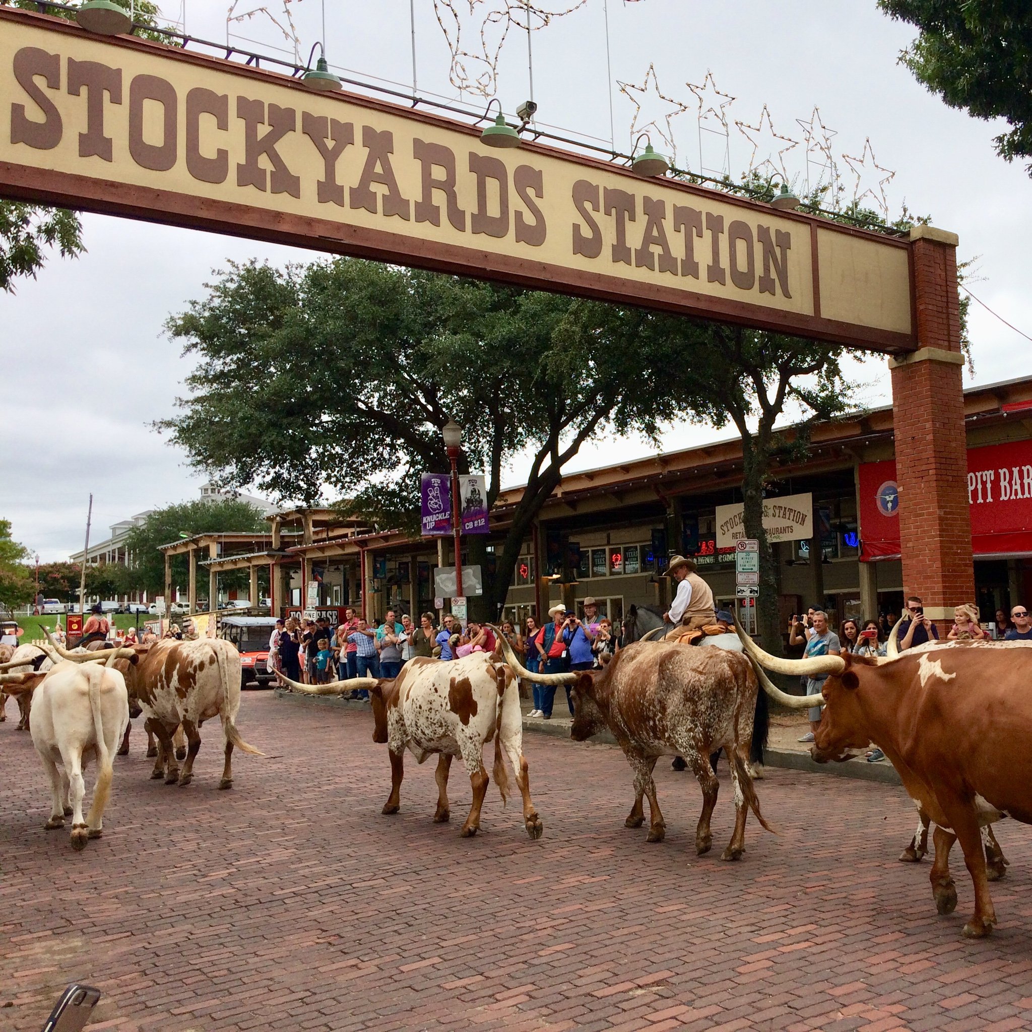 8 Fun Things To Do At The Fort Worth Stockyards