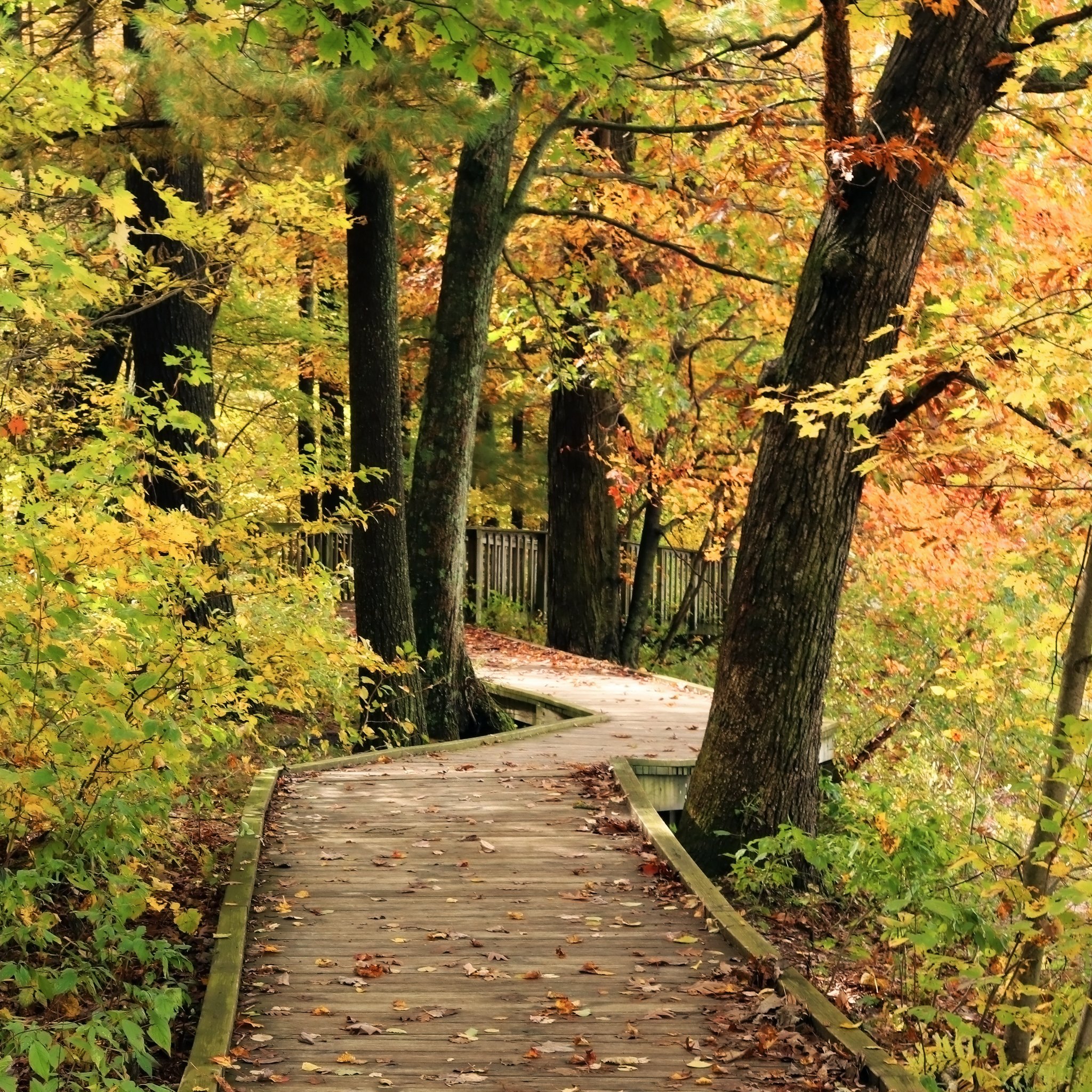 What to know about hiking on the Wisconsin Ice Age Trail